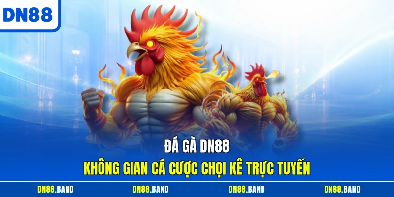 Đá gà DN88 không gian cá cược chọi kê trực tuyến